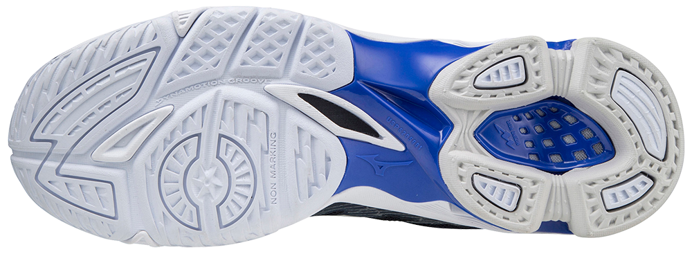 Mizuno wave Voltage
