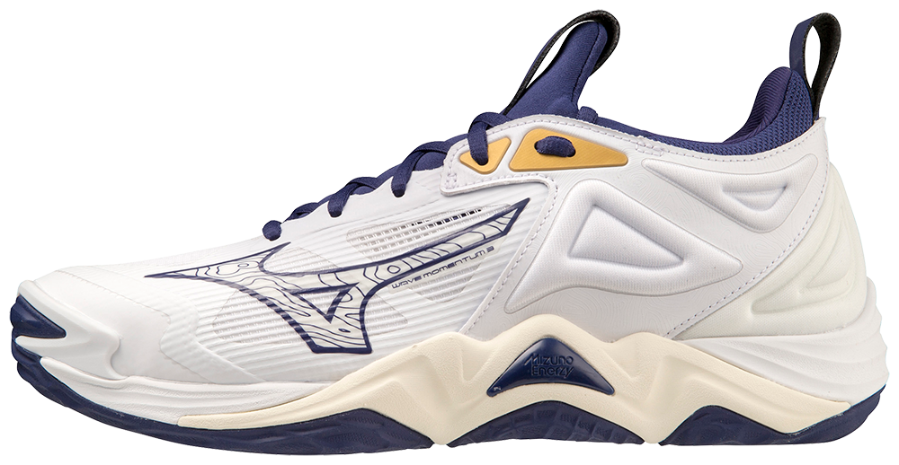 Mizuno wave Momentum 3