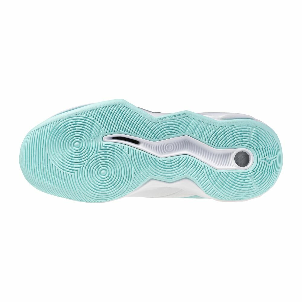 Mizuno wave Momentum PRO | Dames