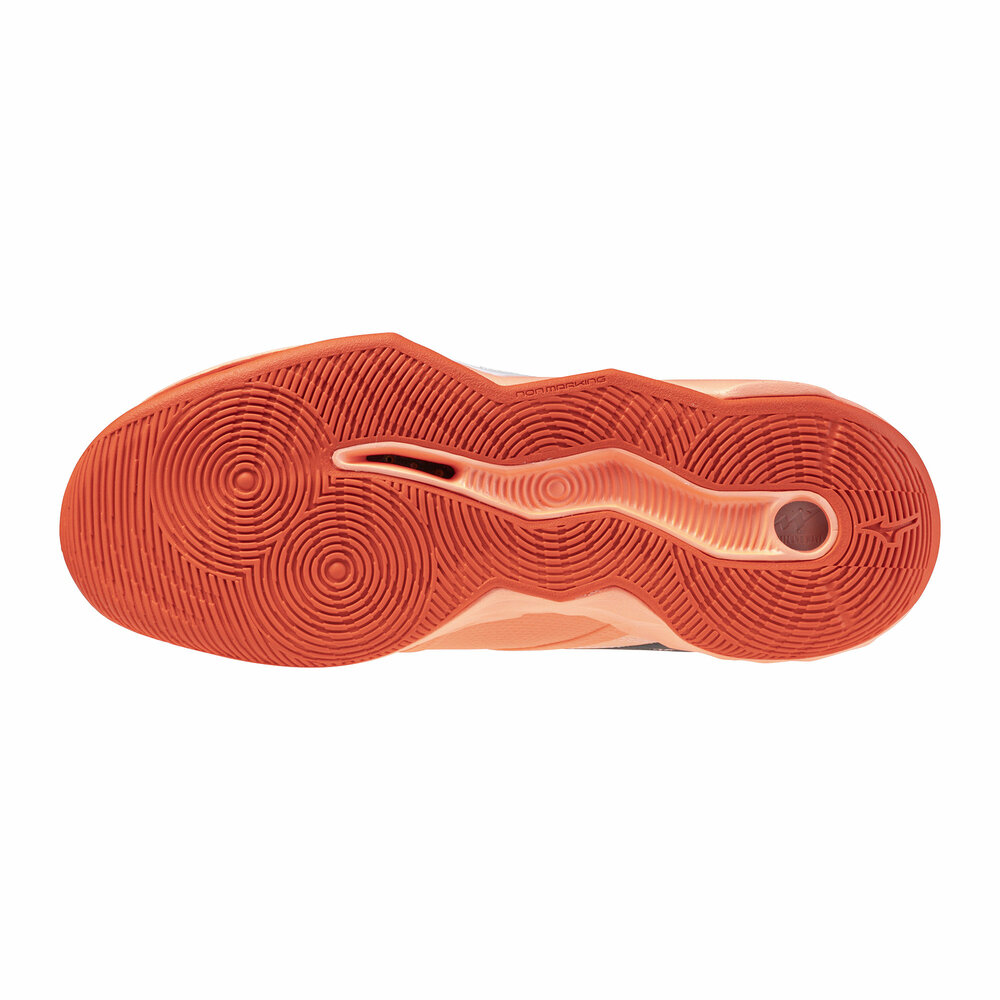 Mizuno wave Momentum Pro