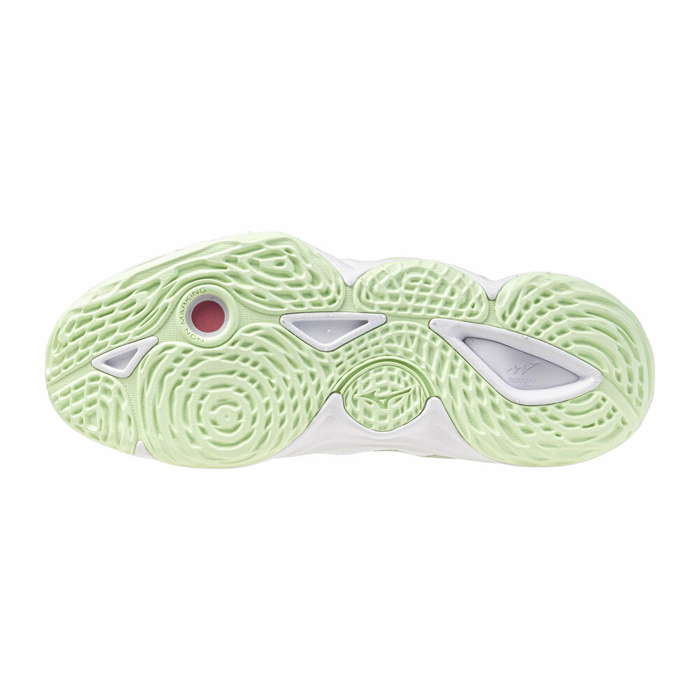 Mizuno wave Momentum Elite | Dames