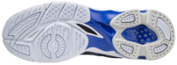 Mizuno wave Voltage