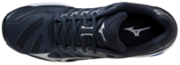 Mizuno wave Voltage