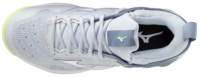 Mizuno wave Luminous 2 | Dames