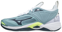 Mizuno wave Momentum 2