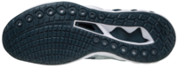 Mizuno wave Luminous  2 