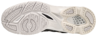 Mizuno wave Voltage