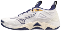 Mizuno wave Momentum 3