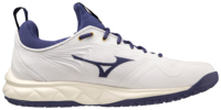 Mizuno wave Luminous  2