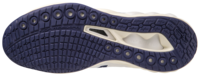 Mizuno wave Luminous  2