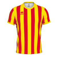 Errea Strip shirt