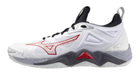Mizuno wave Momentum 3 