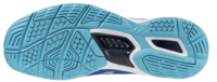 Mizuno wave Stealth 6