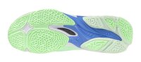 Mizuno wave Lightning z8