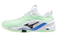 Mizuno wave Stealth NEO 2