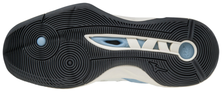Mizuno wave Momentum | Dames