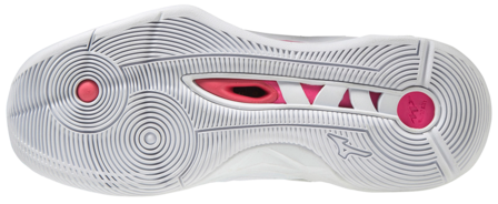 Mizuno wave Momentum 2 | Dames 