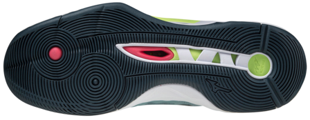 Mizuno wave Momentum 2