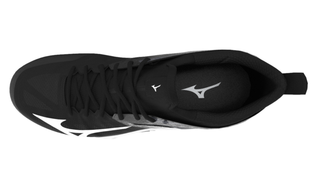 Mizuno wave Dimension