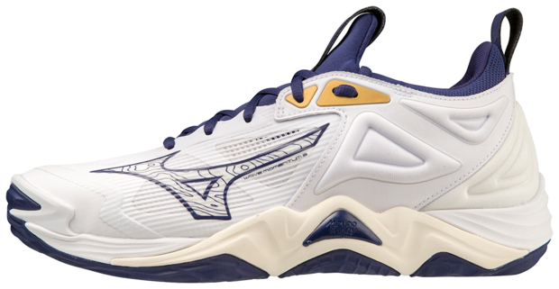 Mizuno wave Momentum 3