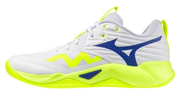 Mizuno wave Momentum Pro